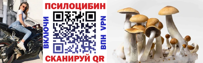 Псилоцибиновые грибы прущие грибы  где продают   Никольск 